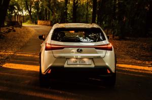 Lexus UX250h 2019 года  (ZA)